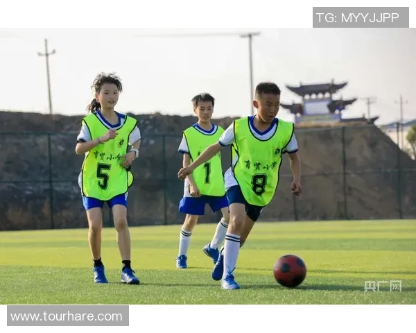 足球胖子球星阵容大揭秘那些体型庞大却仍旧闪耀绿茵场的传奇球员